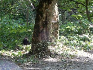 image152